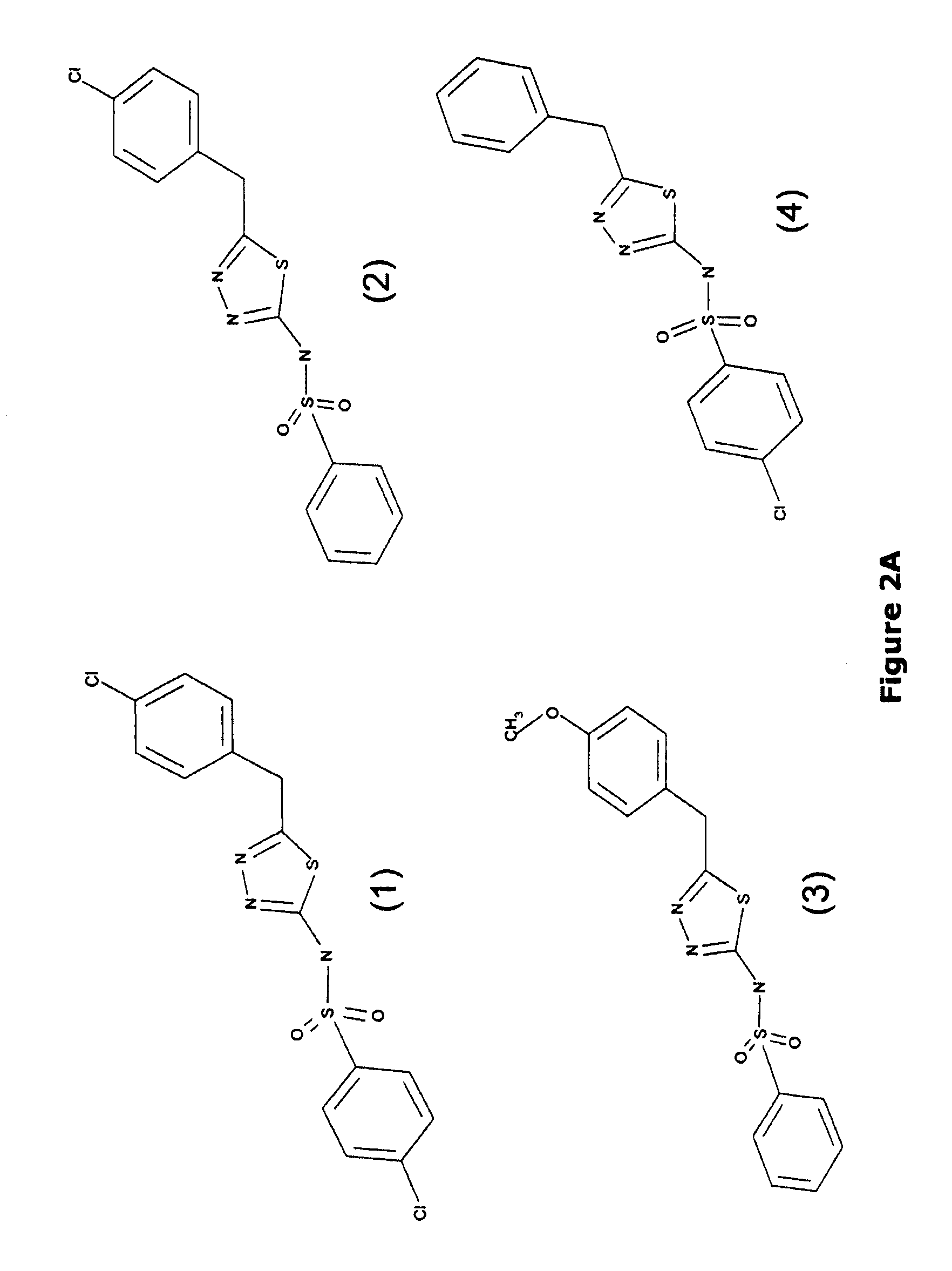 Gamma-glutamyl transpeptidase inhibitors and methods of use