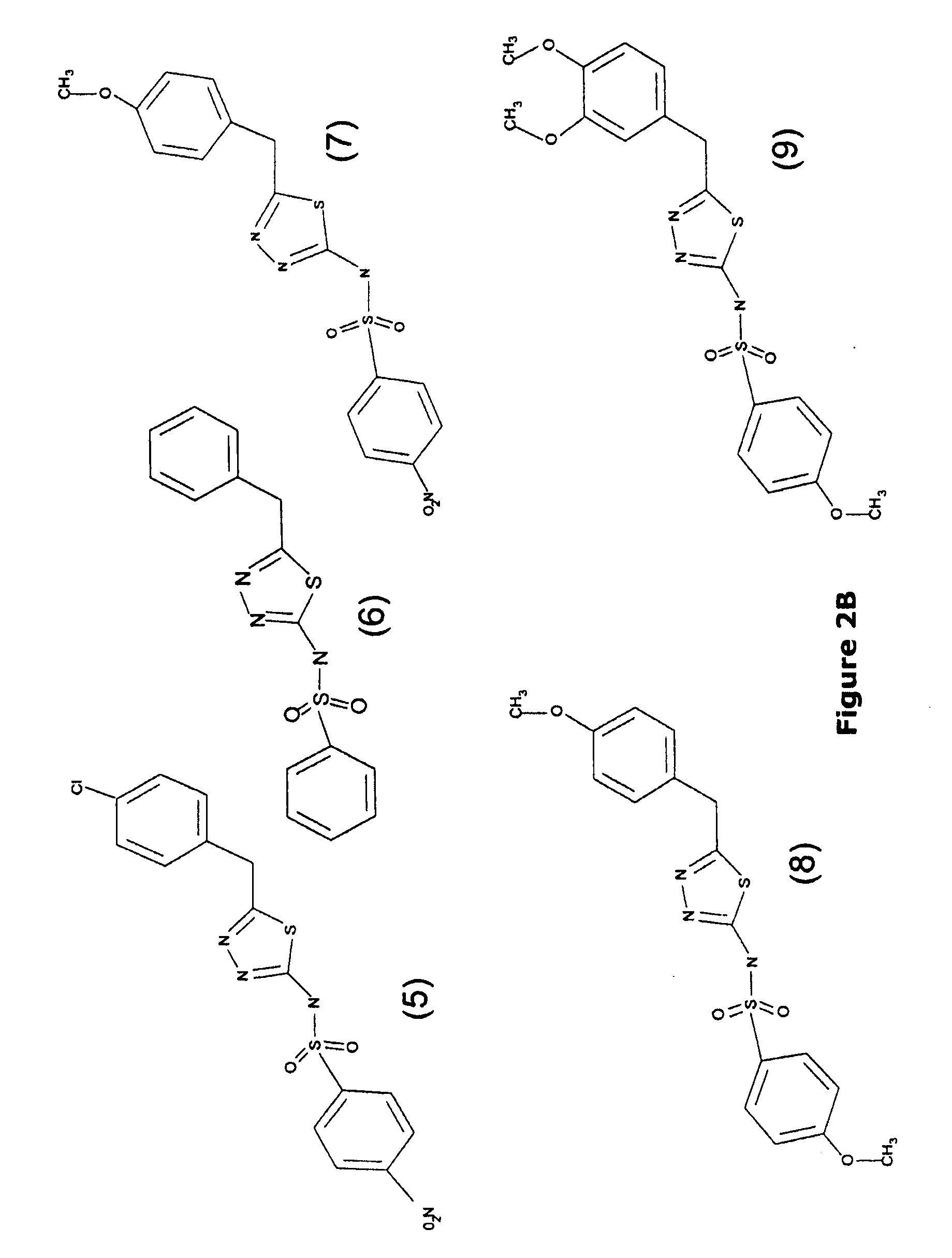 Gamma-glutamyl transpeptidase inhibitors and methods of use