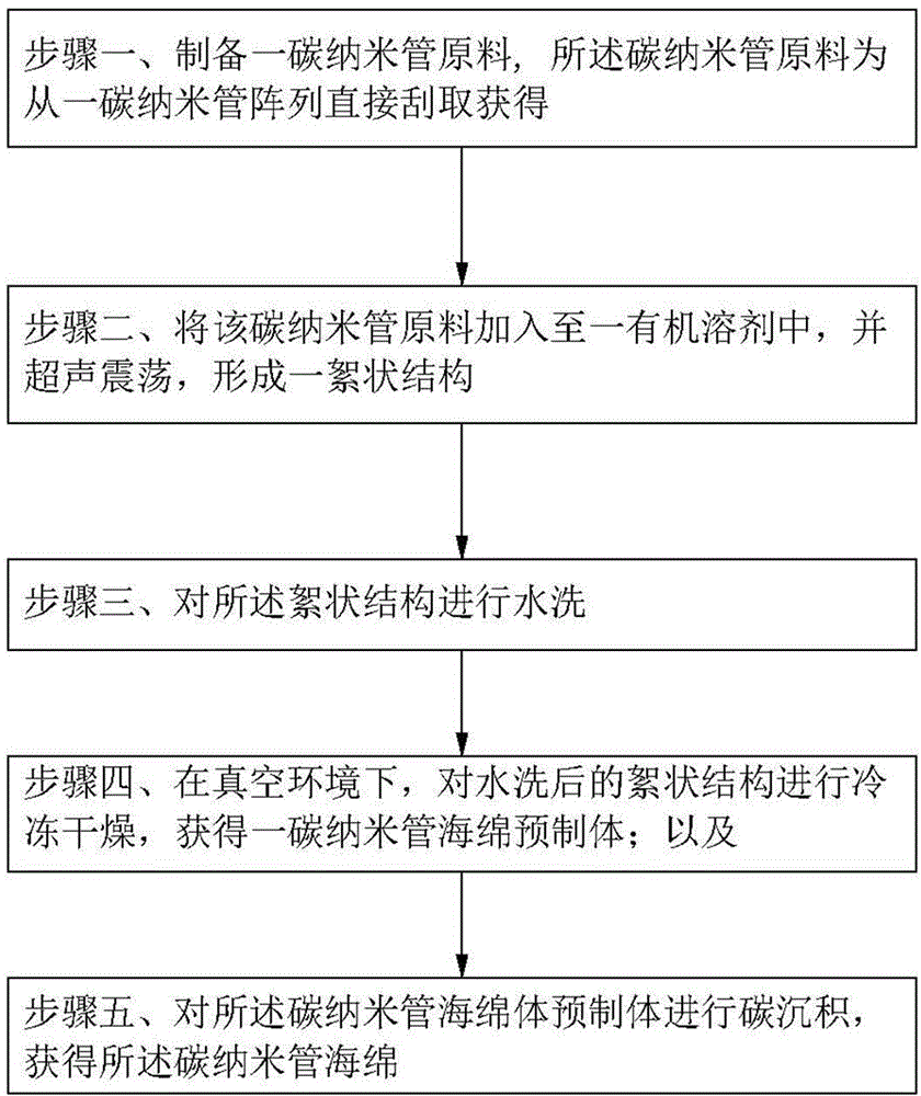 Carbon nanotube sponge and preparation method thereof