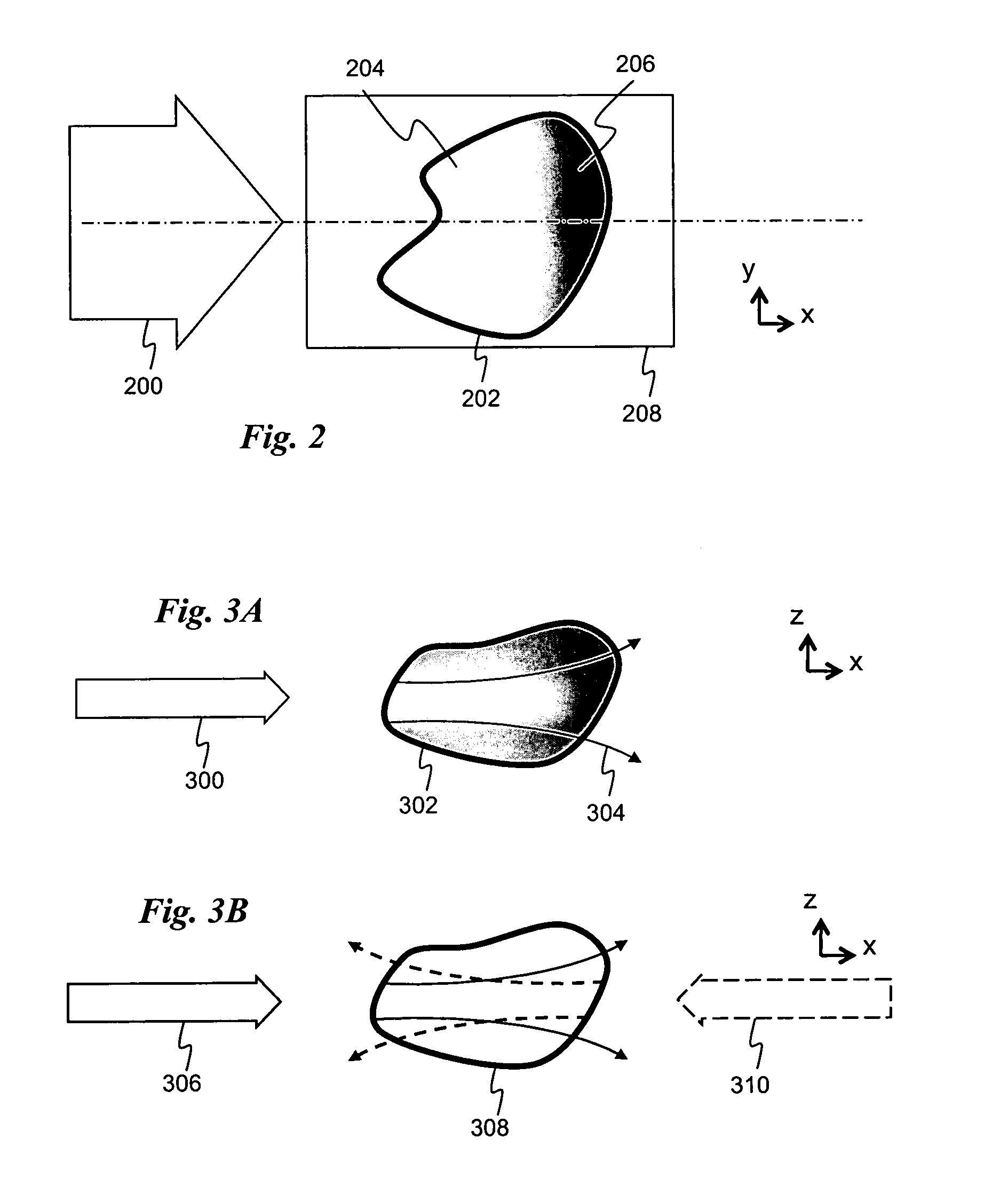 Multidirectional selective plane illumination microscopy