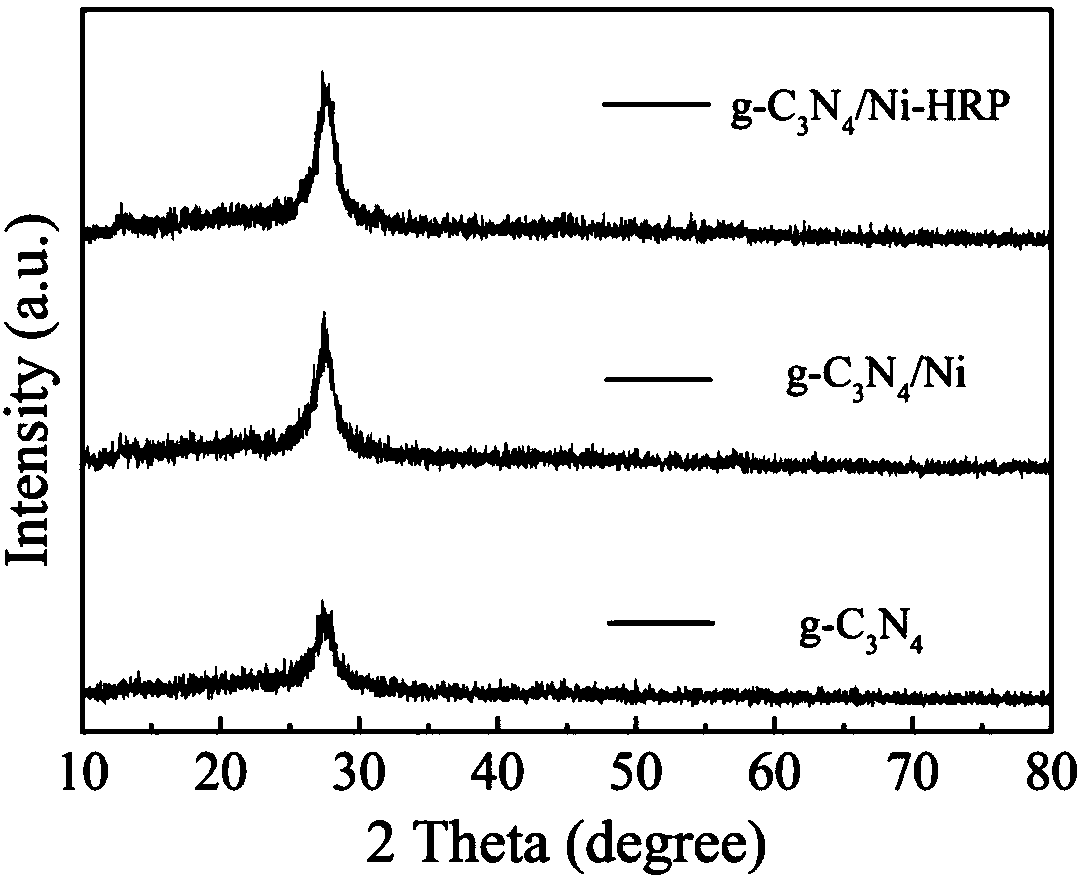 g-C3N4/Ni-HRP composite photocatalyst as well as preparation method and application thereof