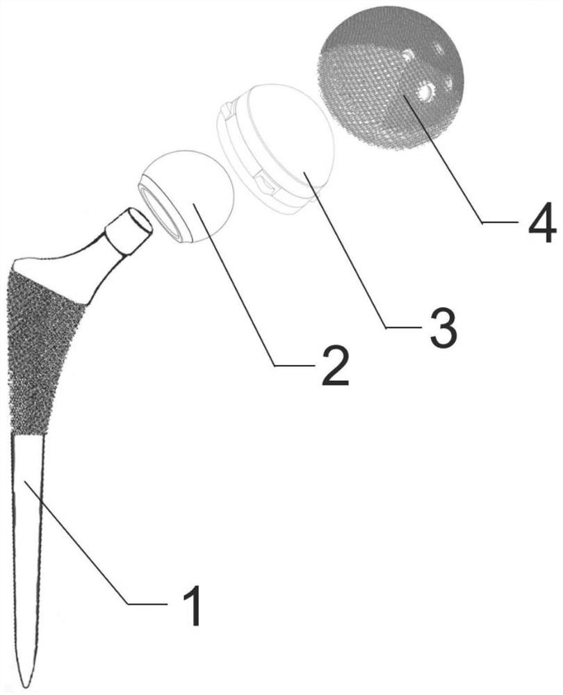 Zirconium-niobium alloy hip joint prosthesis system containing oxide layer and preparation method