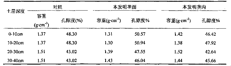 Physical structure regulating method of high-yield soil for summer corns