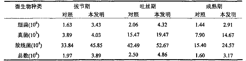 Physical structure regulating method of high-yield soil for summer corns