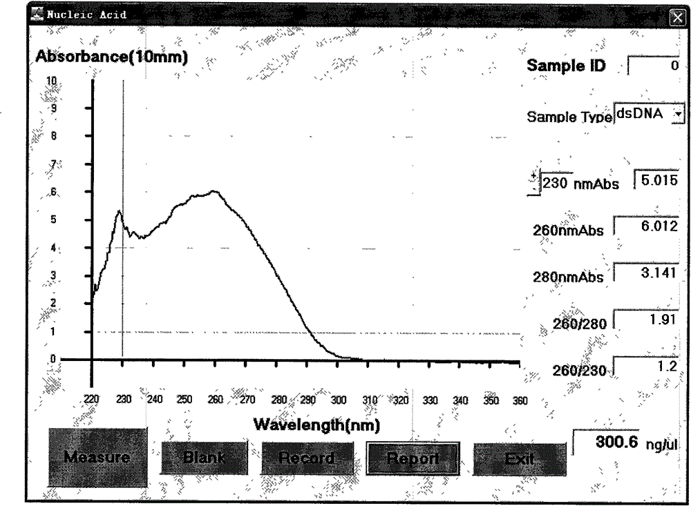 Detection method of single nucleotide polymorphism sites of hypertension susceptibility gene and kit thereof