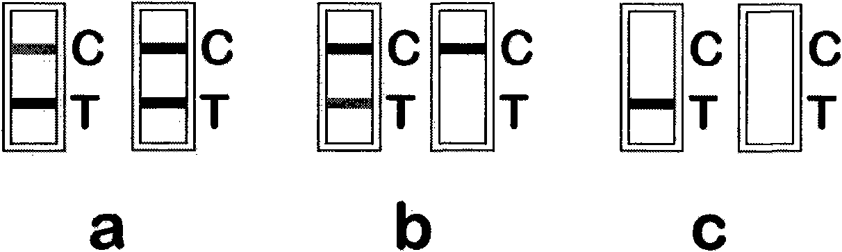 Preparation method of reagent plate for detecting chloramphenicol in cosmetics