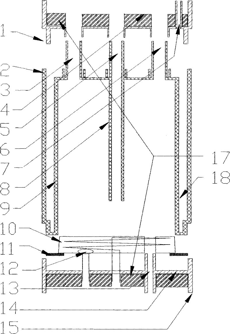 Vacuum hot liner of injection type water dispenser