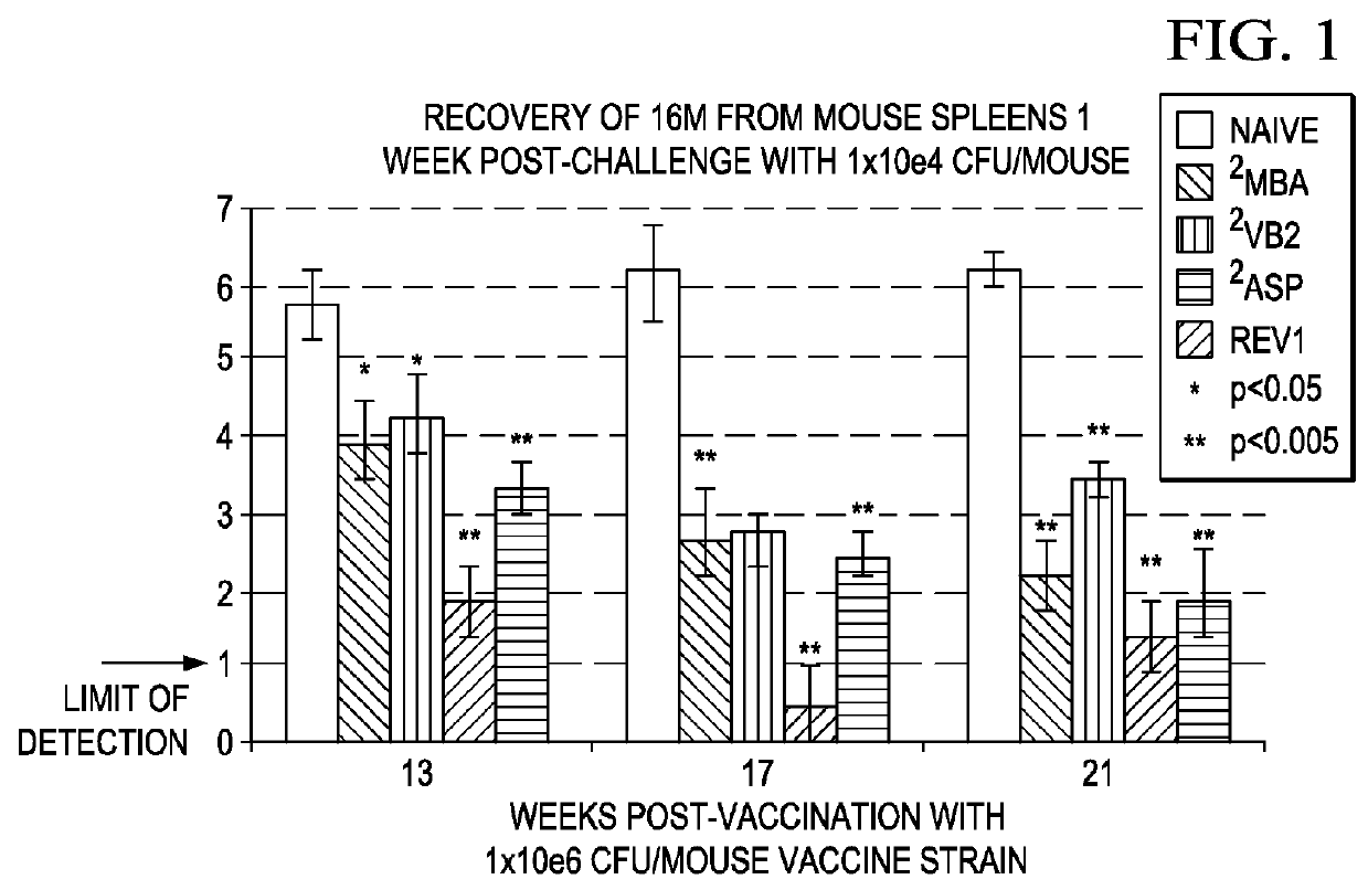 Controlled release vaccines and methods for treating <i>Brucella </i>diseases and disorders