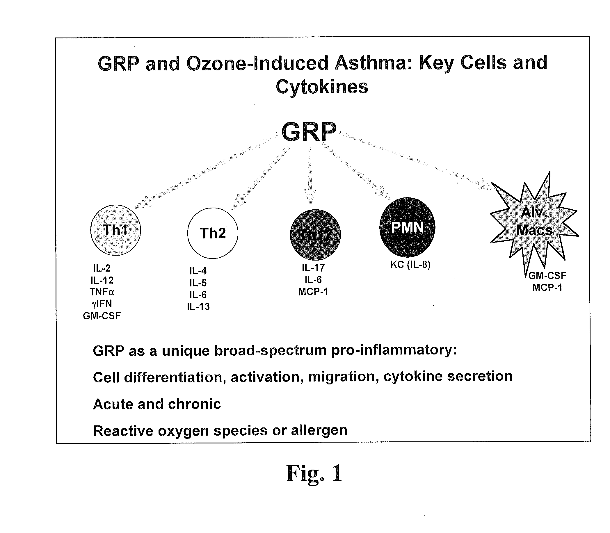 Methods of treating lung disease and other inflammatory diseases