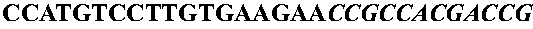 Methods to screen peptide display libraries using minicell display