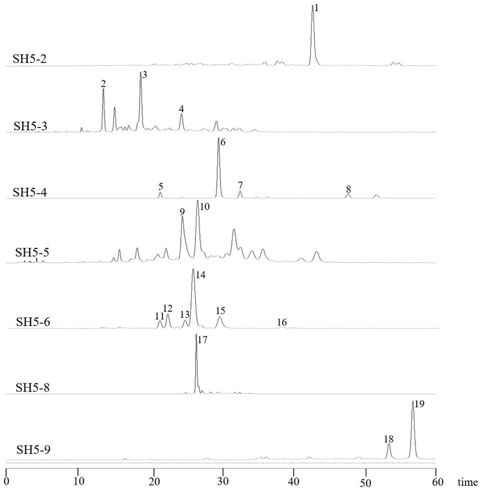 Novel flavonoid compound Hip A and application thereof