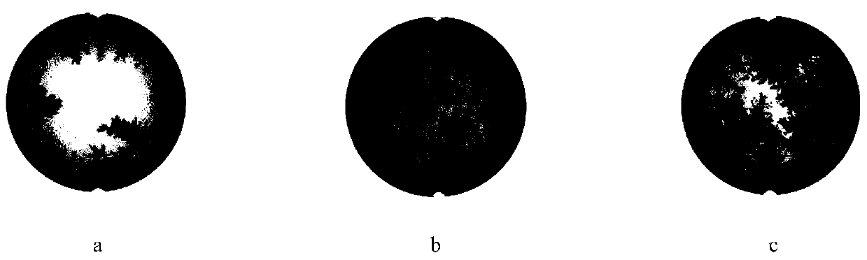 A method for retrieving the effective leaf area index of plantation forests by UAV lidar