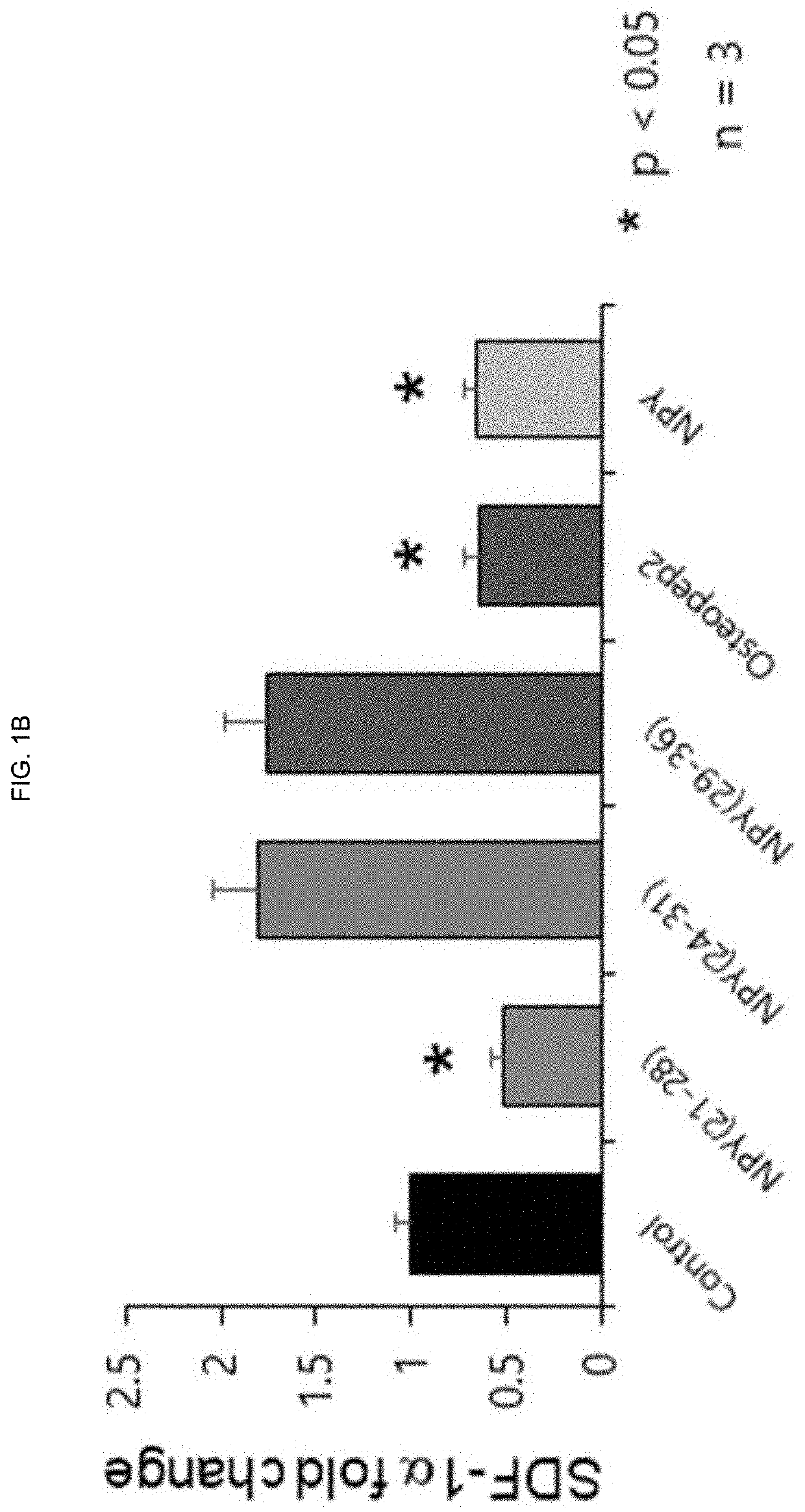 Novel peptide exhibiting effect of releasing hematopoietic stem cells into blood and osteoporosis therapeutic effect and use thereof