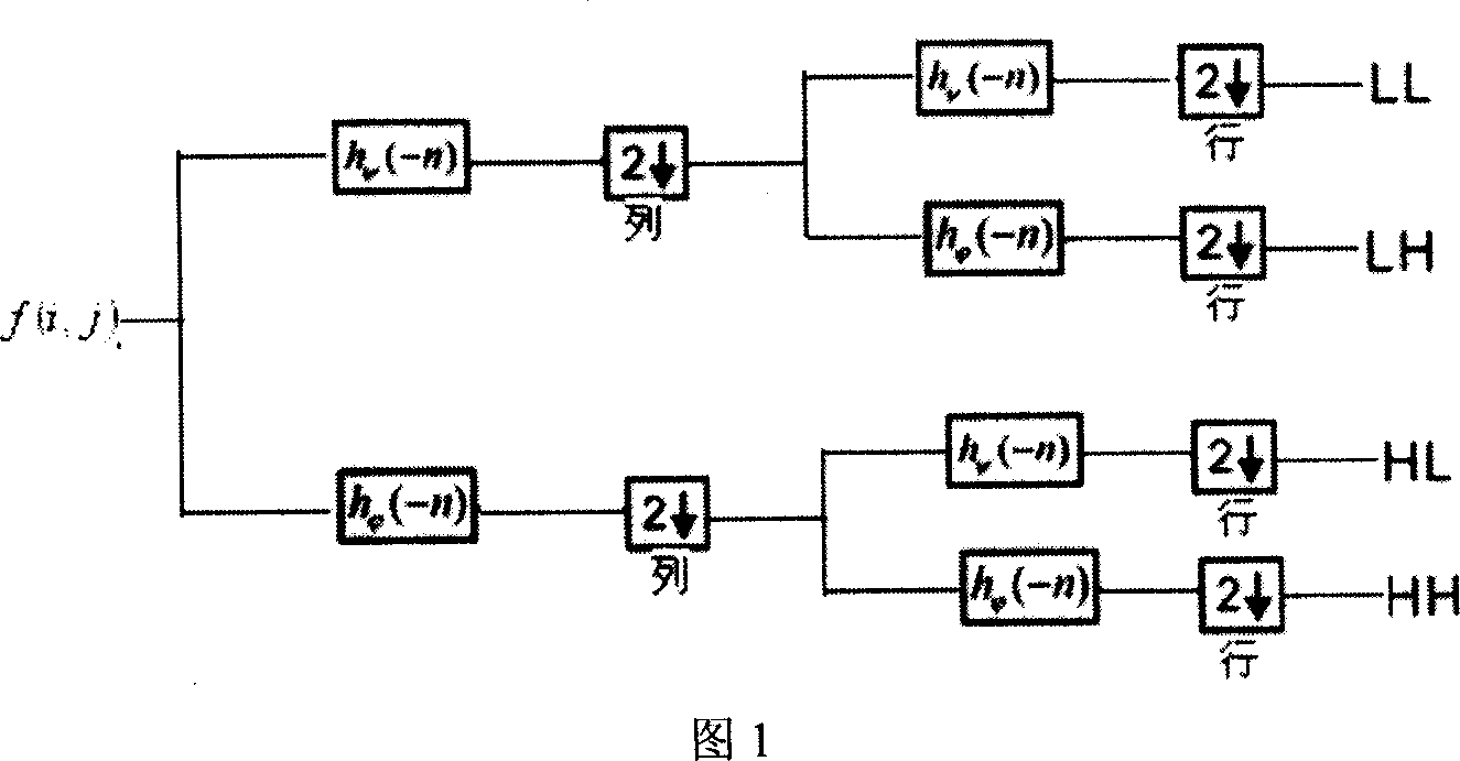 Vehicle registration extract method in complicated background based on wavelet transforming