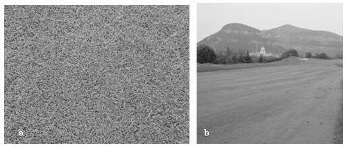 A method for updating golf course turf nesting