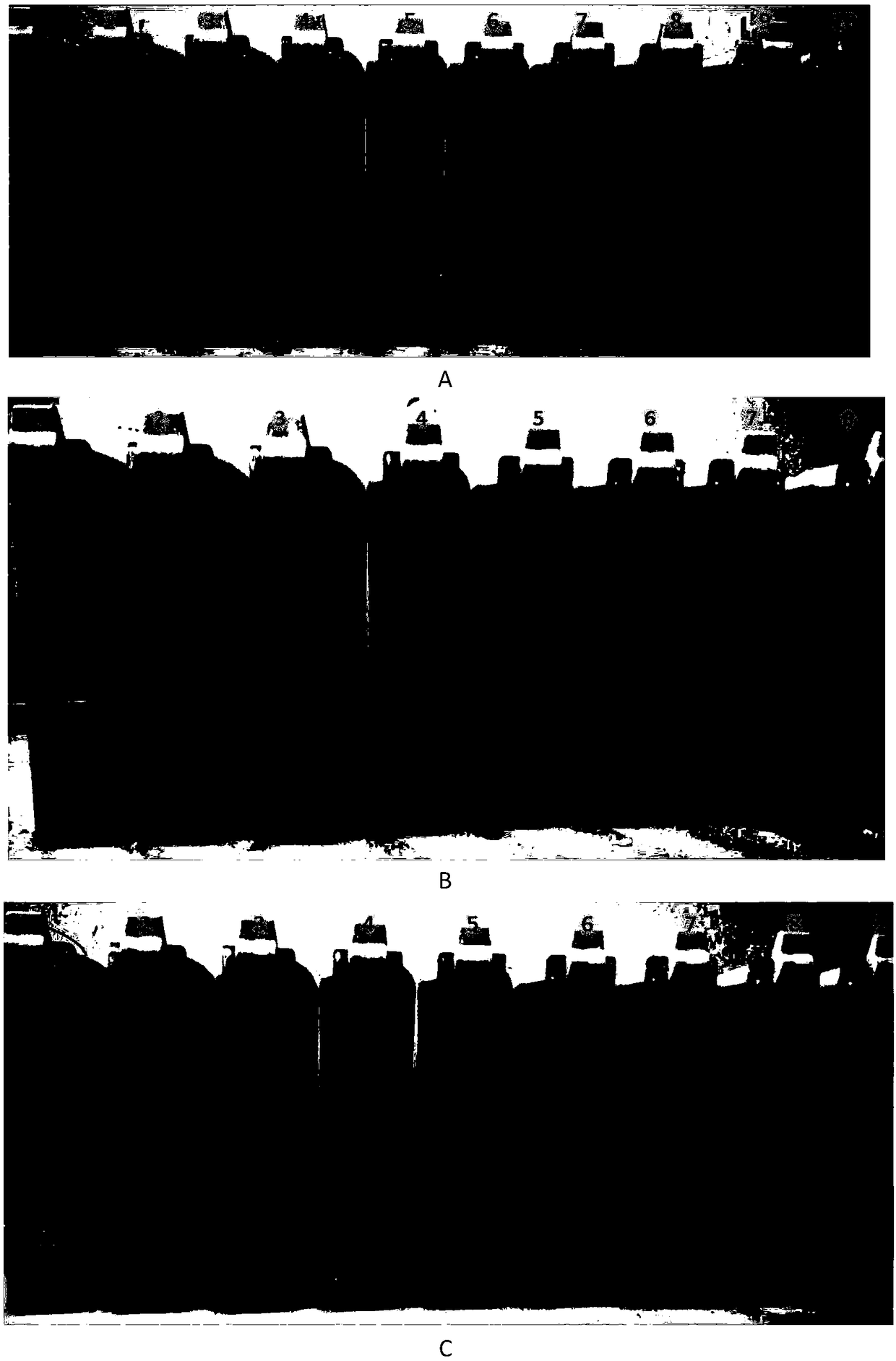 Newcastle disease novel visualized room temperature recombinase ploymerase amplication nucleic acid test strip detection kit and applications