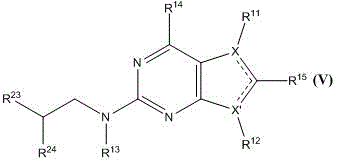 Mertk-specific pyrrolopyrimidine compounds