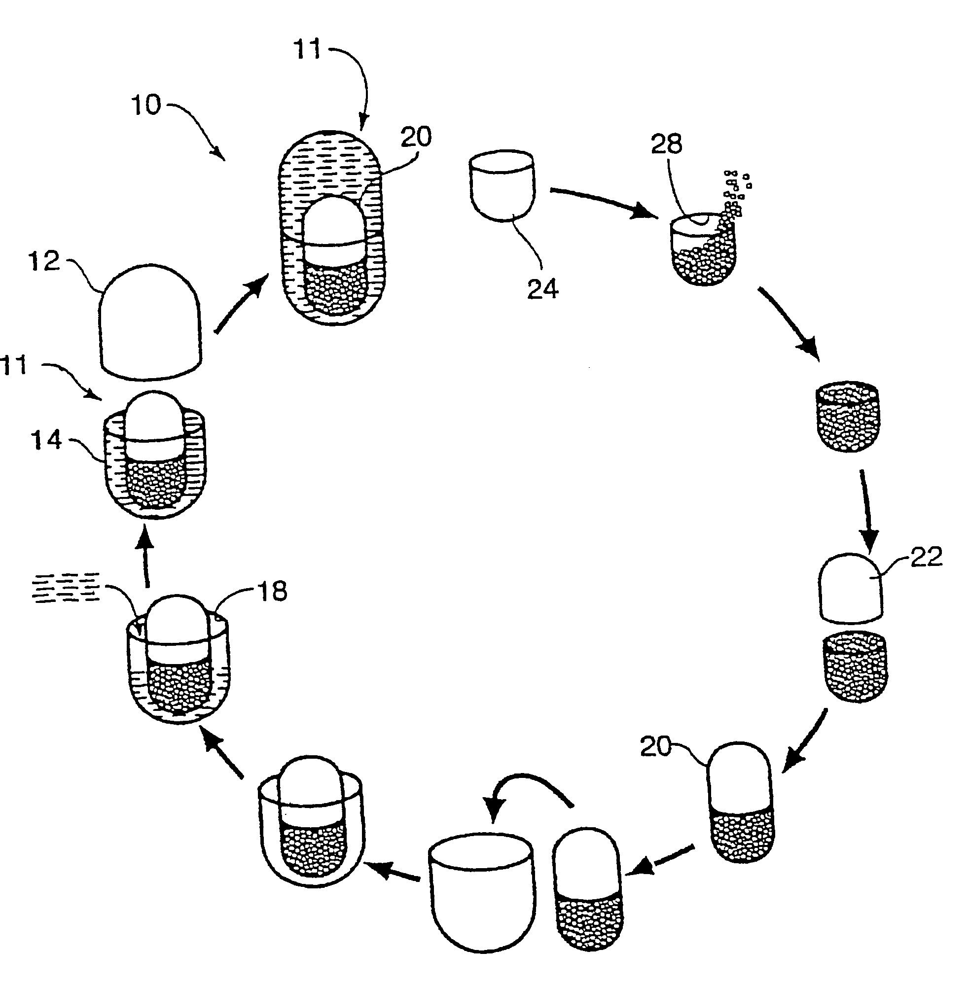 Multi-phase, multi-compartment capsular delivery apparatus and methods for using same