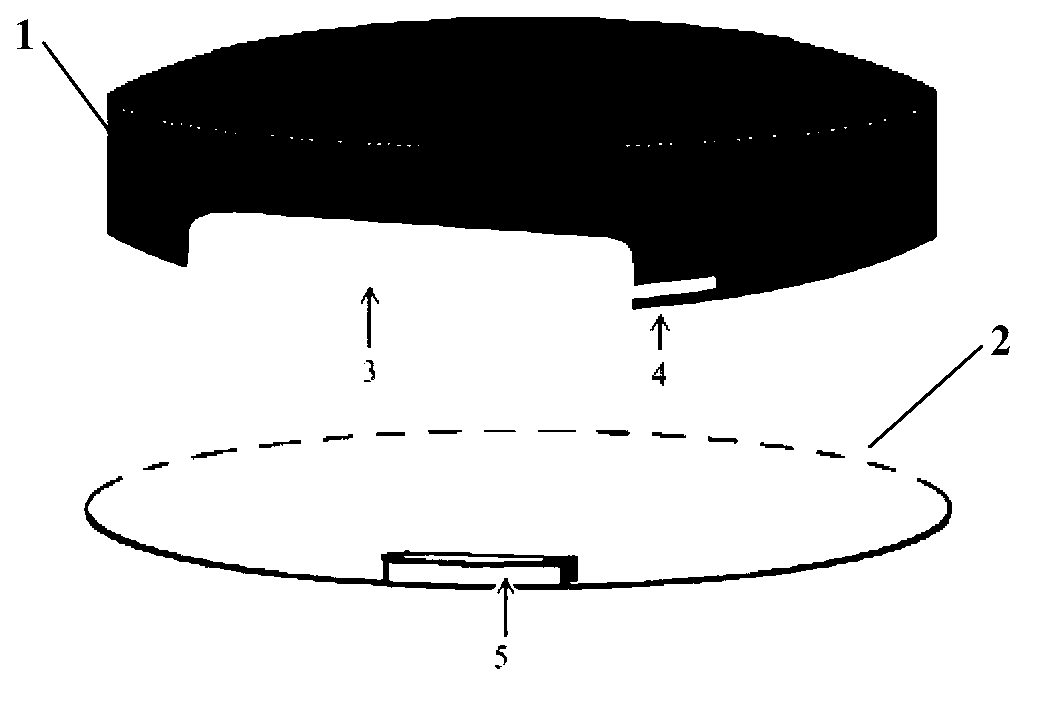 Method for collecting young red imported fire ants