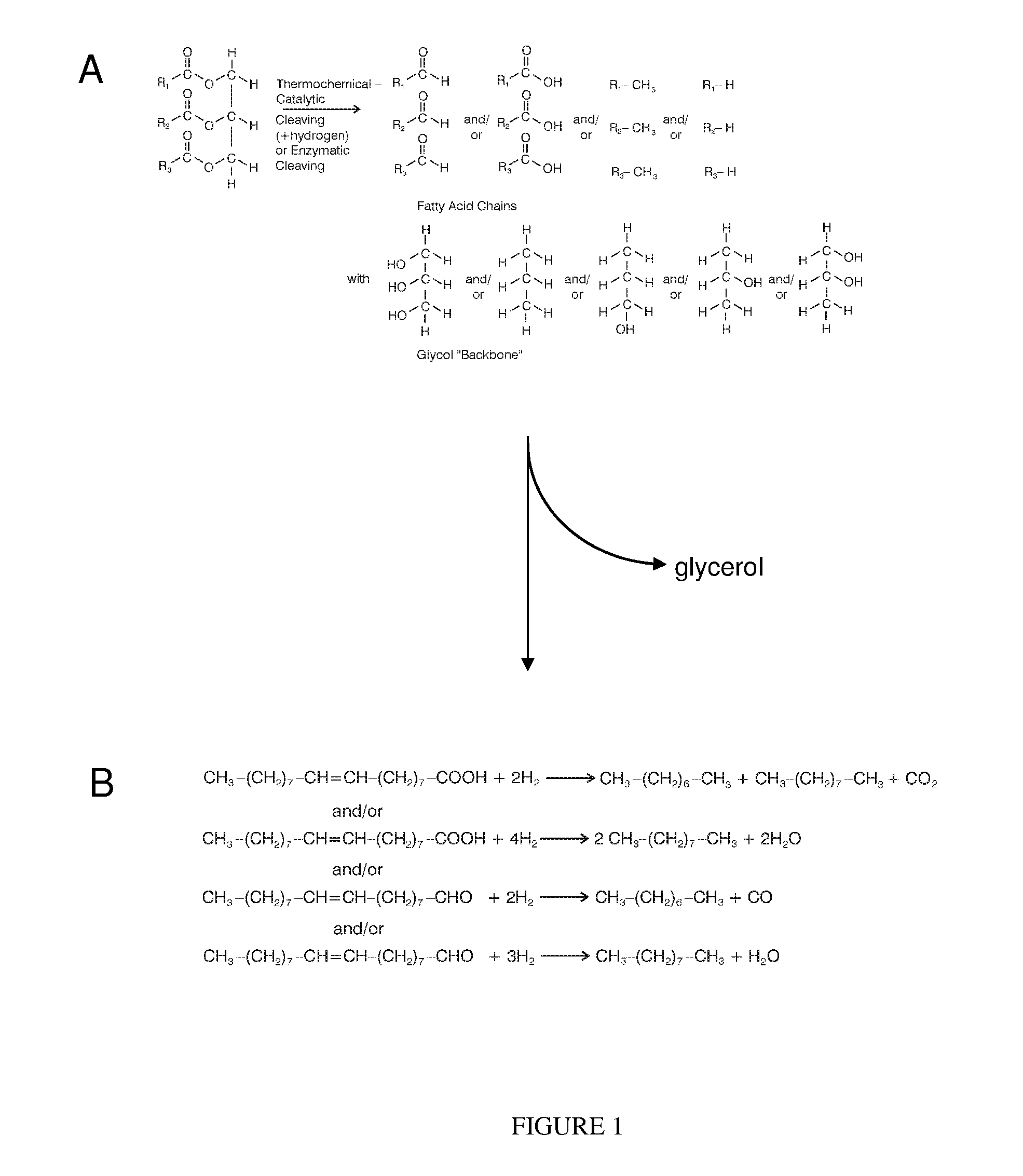 Optimal energy pathway to renewable domestic and other fuels