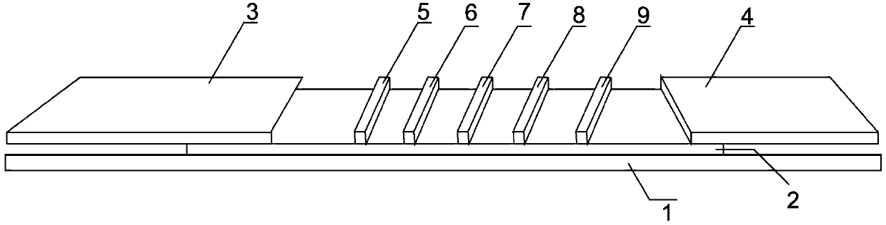 PCT (procalcitonin) and CRP quantitative joint inspection chromatography test strip and preparation method thereof