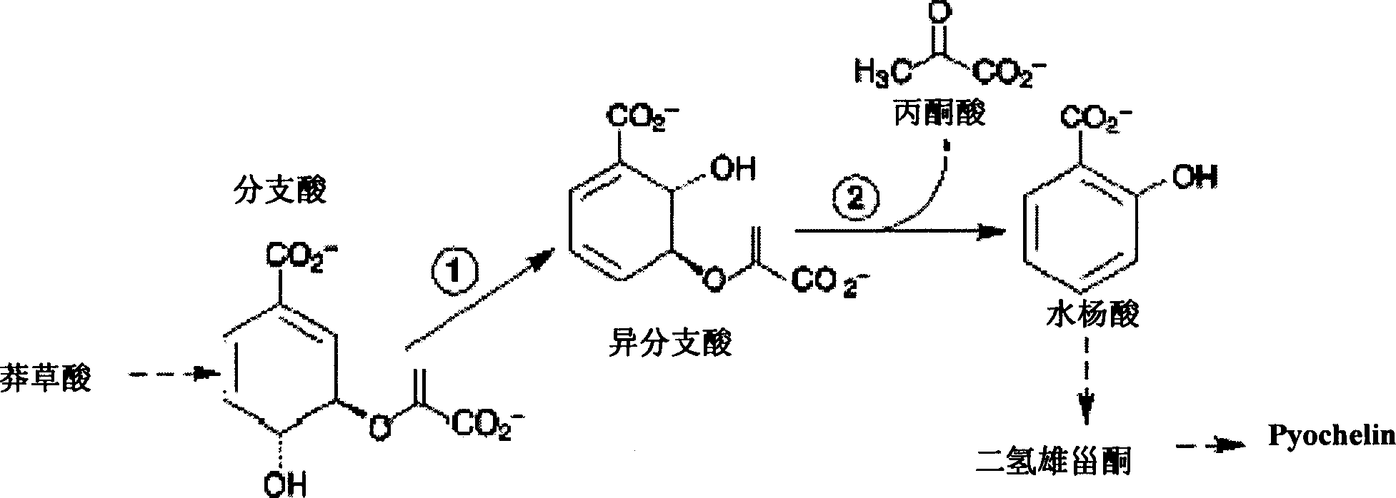 Method for increasing salicylic acid content in plant, and its special carrier