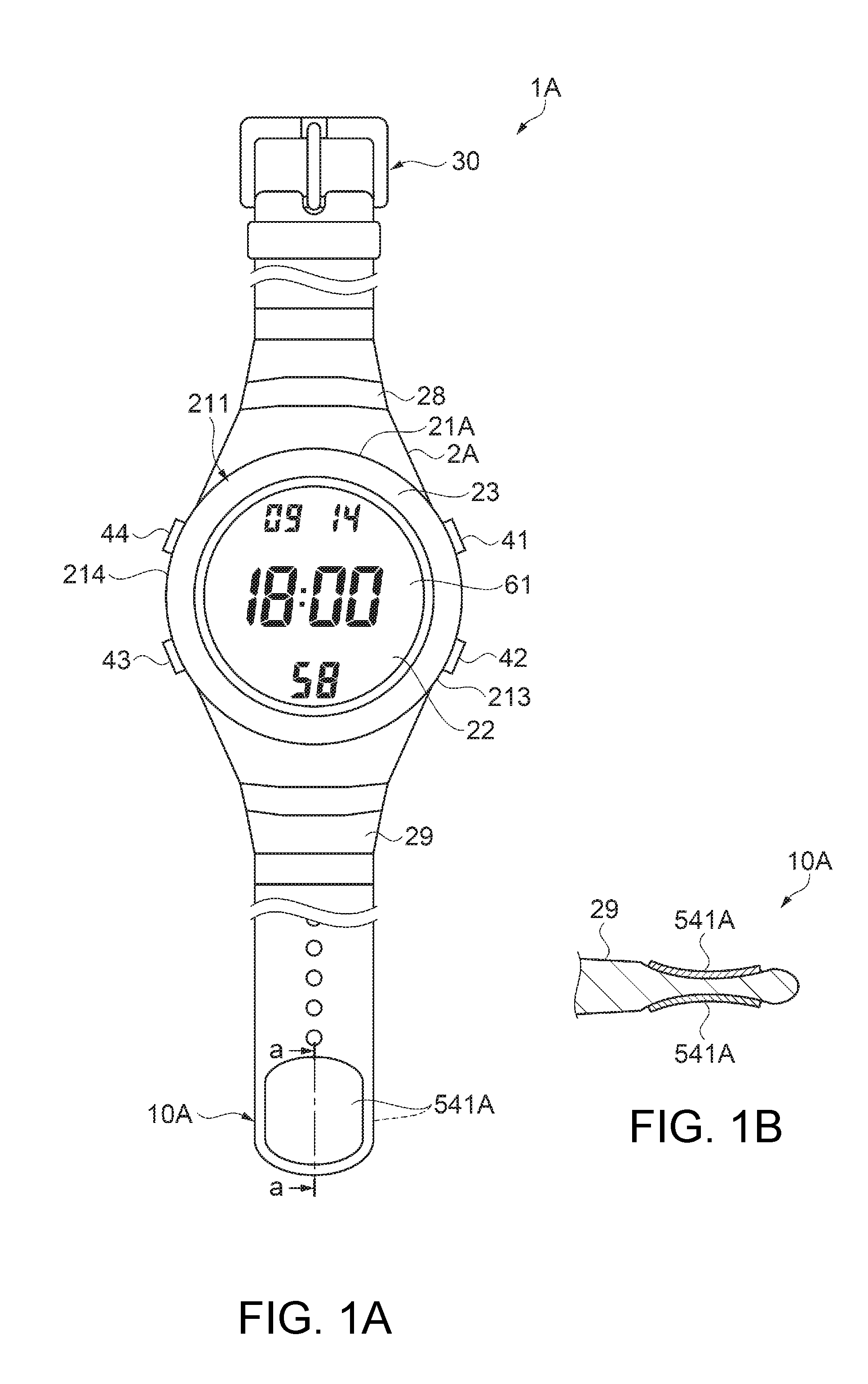 Biological information measurement apparatus