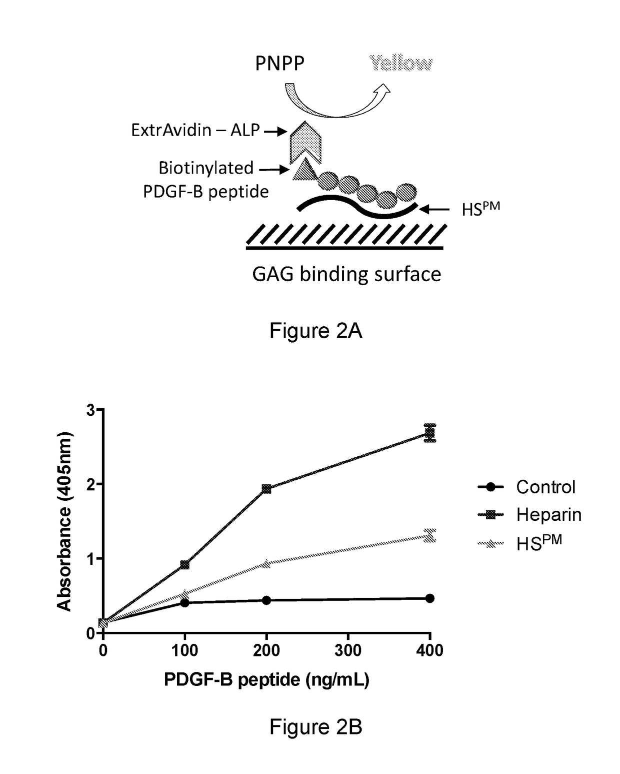 Pdgf-b /pdgf-bb binding variants of heparan sulfates