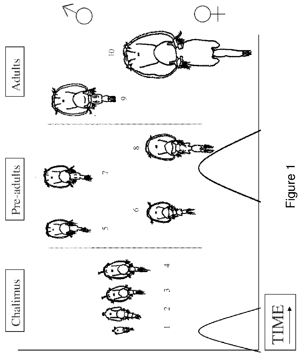 Supplemented fish feed