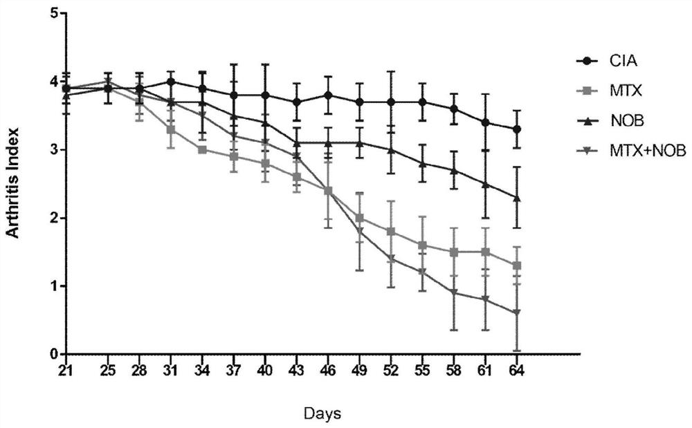 New application of nobiletin and nobiletin composition