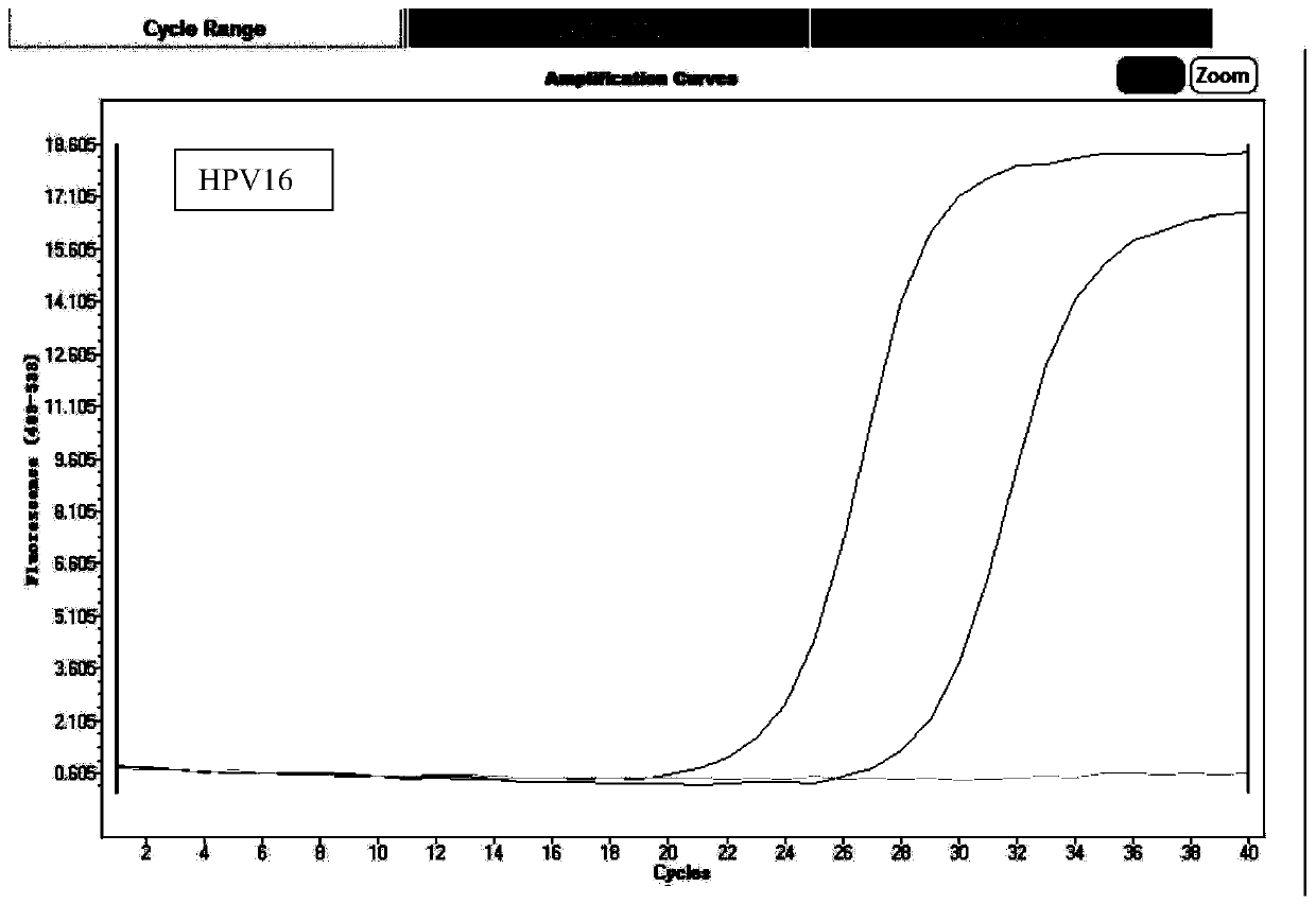 Multiplex fluorescence detection kit for 13-type high-risk HPV