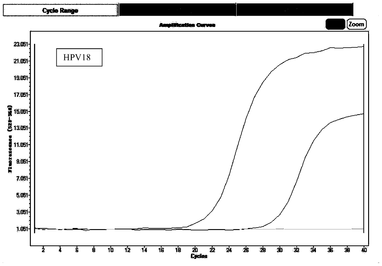 Multiplex fluorescence detection kit for 13-type high-risk HPV