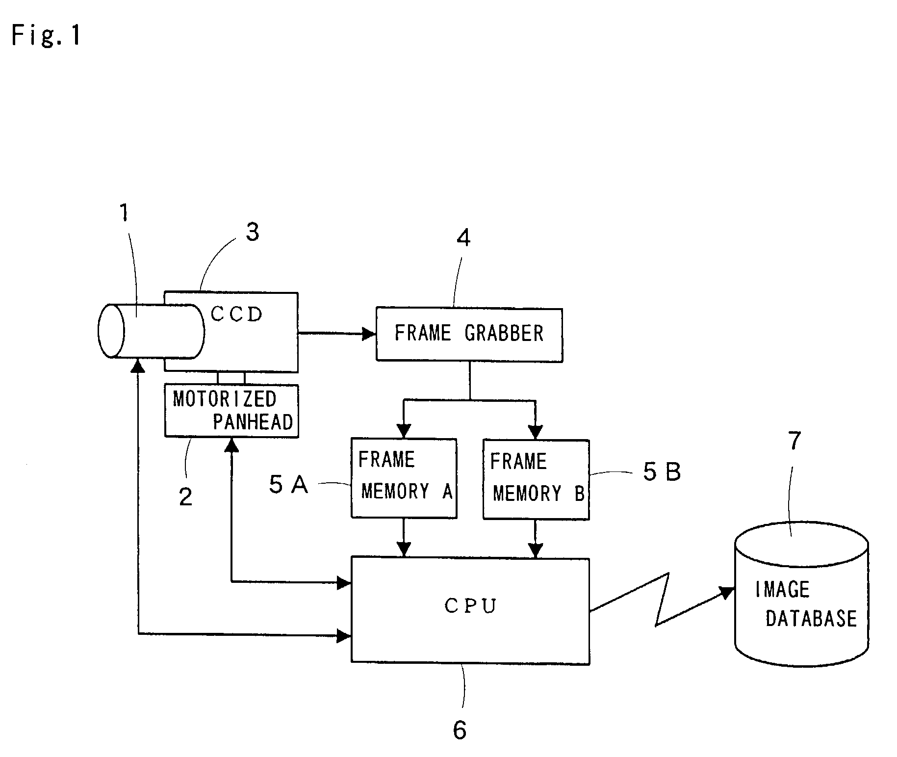 Moving object monitoring surveillance apparatus for detecting, tracking and identifying a moving object by zooming in on a detected flesh color