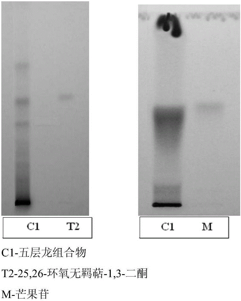 Salacia compositions, methods of treatment by their administration, and methods of their preparation