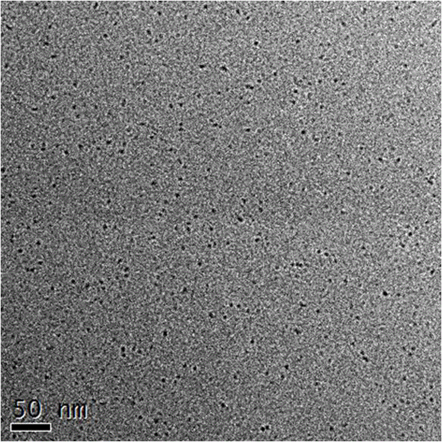 Preparation method and application of black phosphorus quantum dots with high yield