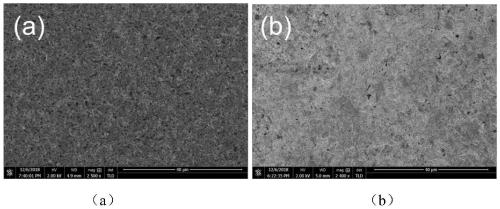 Dynamic ion cross-linked polyacrylic acid-polyethylene glycol hydrogel binding agent and preparation method and application thereof