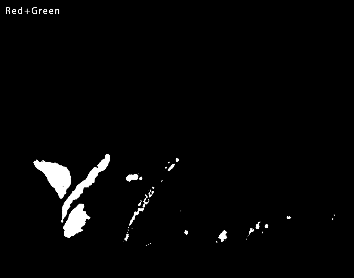 Water-based rare-earth up-conversion fluorescent ink as well as preparation method thereof and anti-counterfeit application