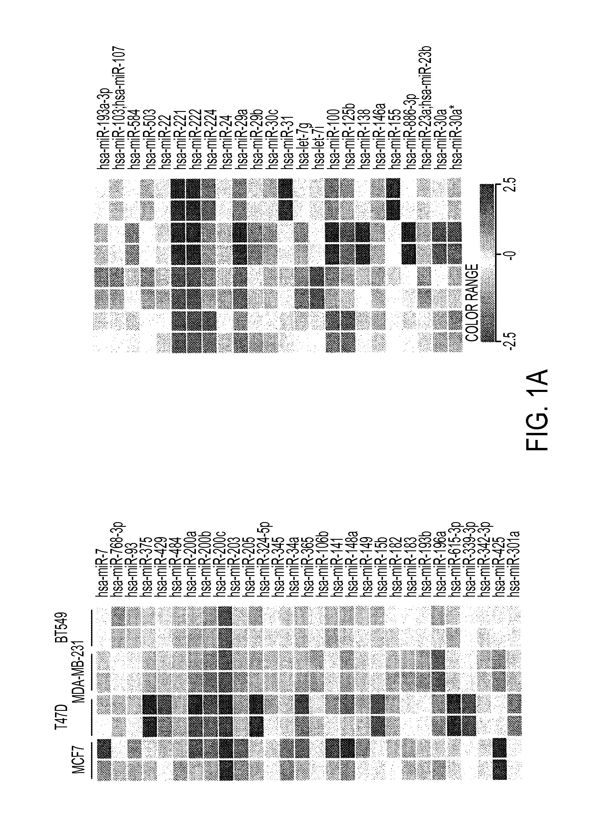 Mirnas dysregulated in triple-negative breast cancer