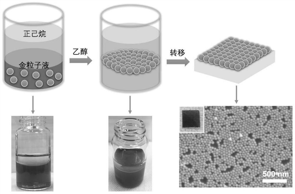 One-dimensional Assemblies of Precious Metal Nanoparticles with Tunable Spacing and Their Applications in Nanosensors