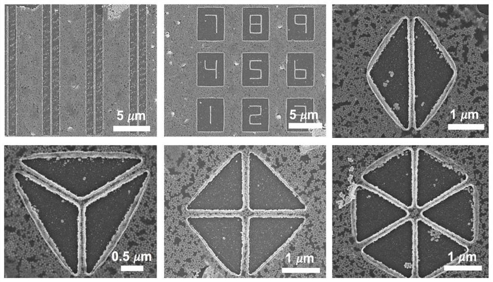 One-dimensional Assemblies of Precious Metal Nanoparticles with Tunable Spacing and Their Applications in Nanosensors