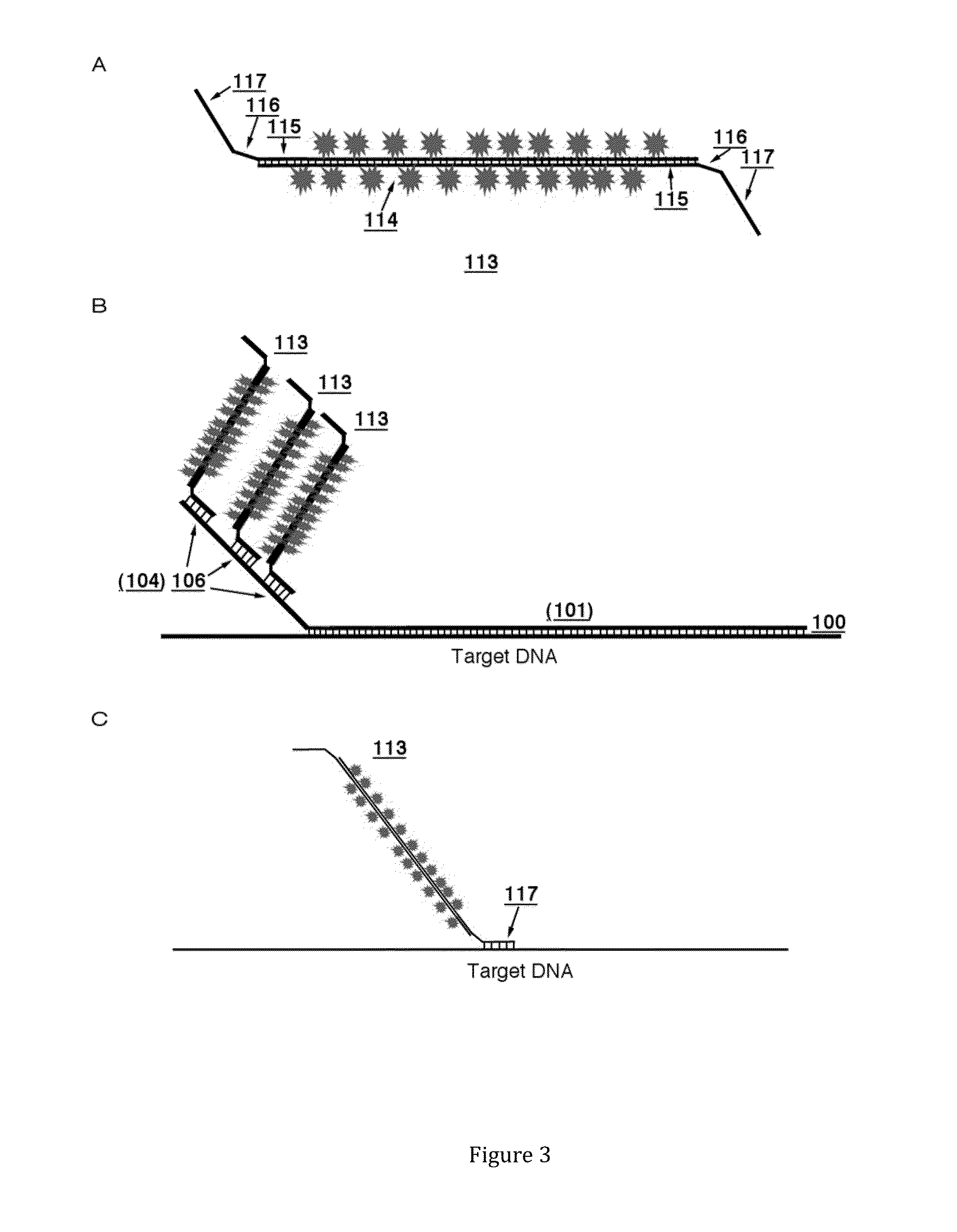 Nucleic acid hybridization probes