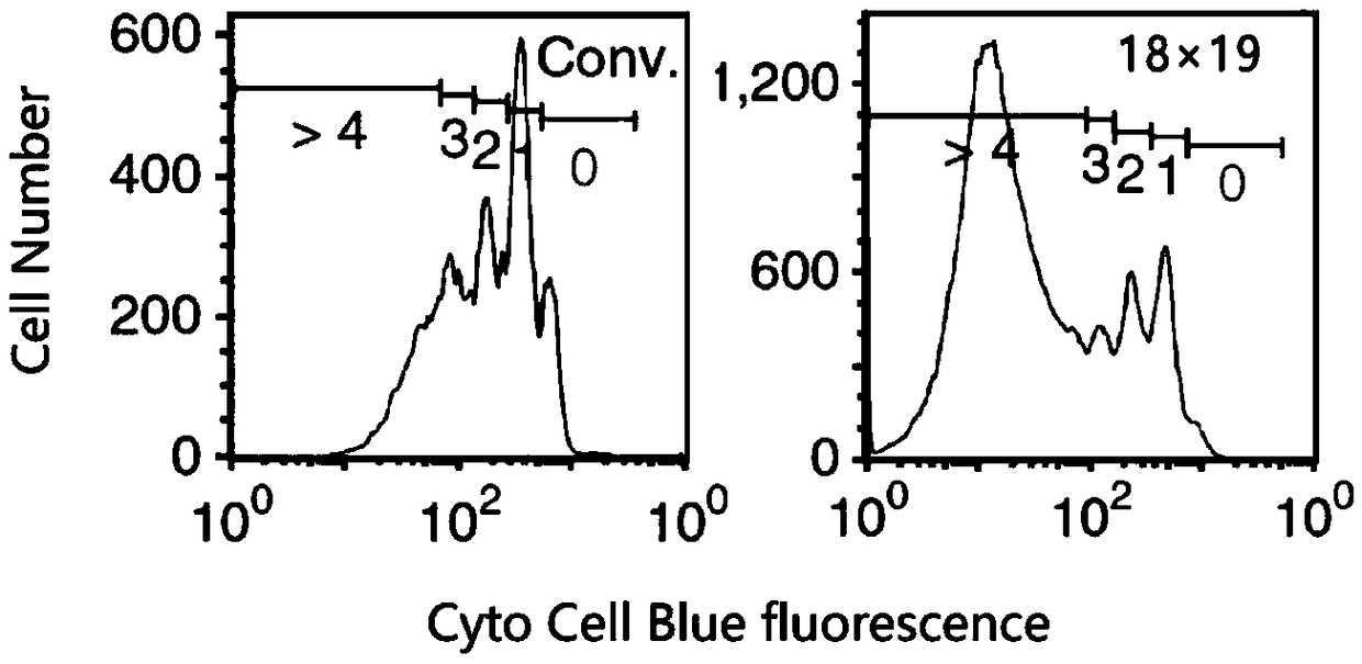 Preparation method of CAR (Cheimeric Antigen Receptors)-T cells for co-expressing IL18 (Interleukin 18) and CCL19 (Chemokine C-C motif ligand 19) protein and targeting MUC1 gene