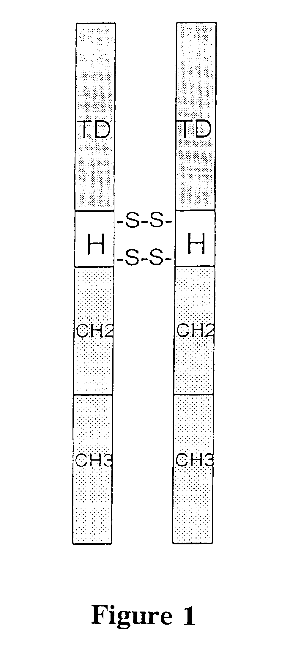 Neovascular-targeted immunoconjugates