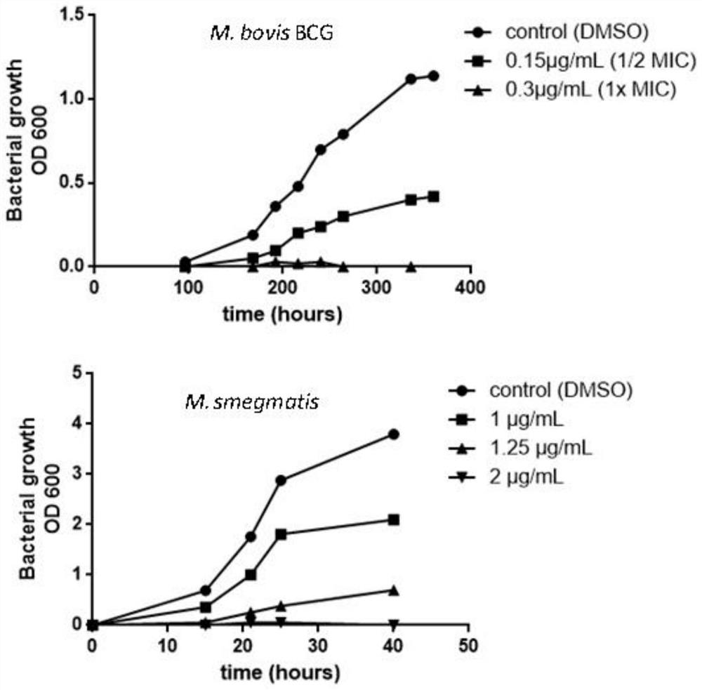 Application of compound, antibacterial composition and application of antibacterial composition