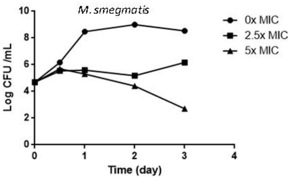 Application of compound, antibacterial composition and application of antibacterial composition