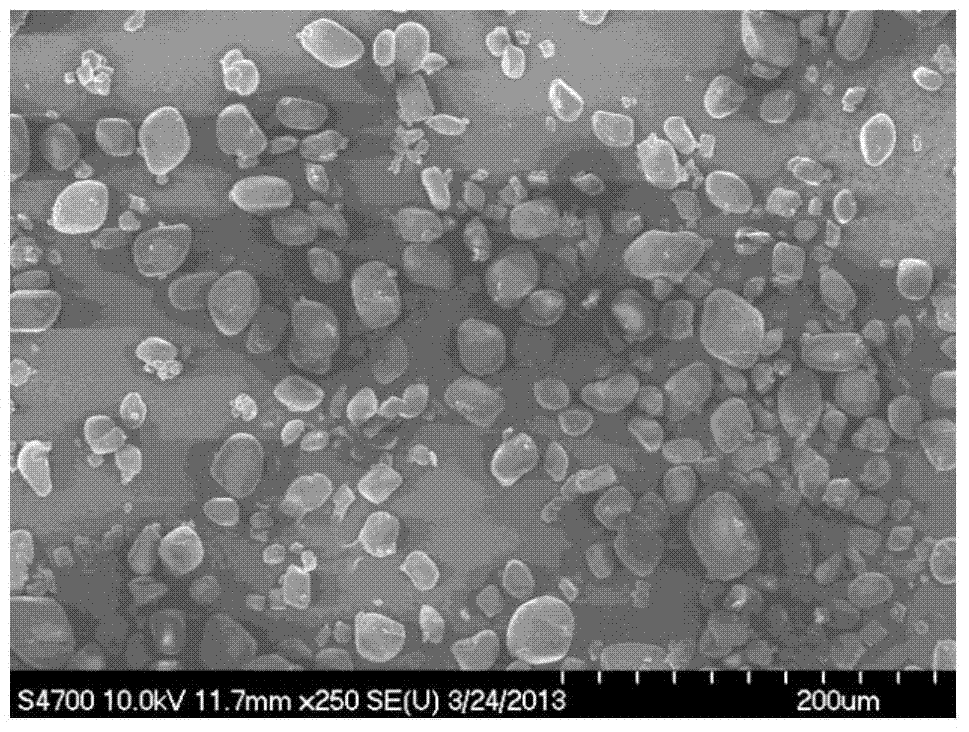 Idiosyncratic refined HMX (cyclotetramethylene tetranitramine) crystal and preparation method thereof