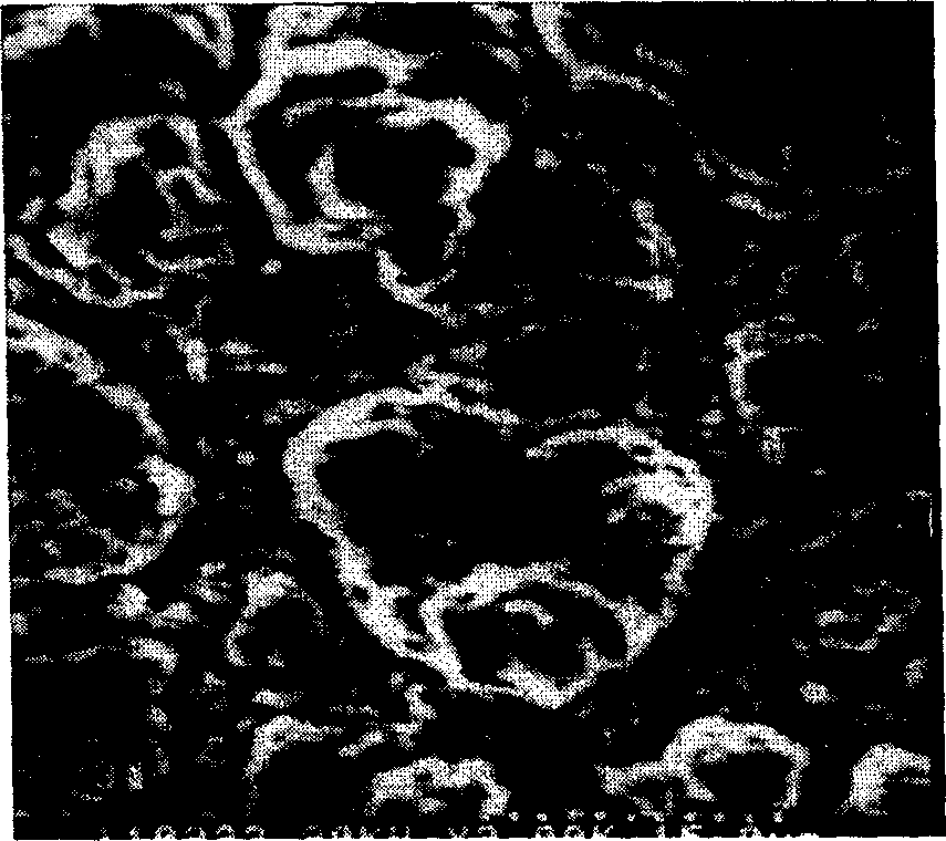 Method for preparing rare earth alloy through sweeping electric potential sedimentation