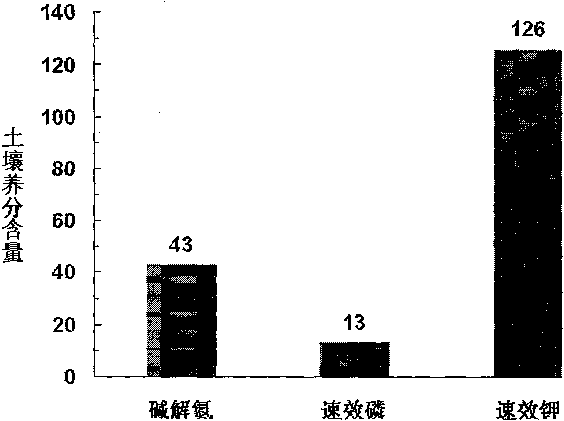 Drought-resistant controlled-release fertilizer special for corn in northwest regions as well as preparation method and applications thereof