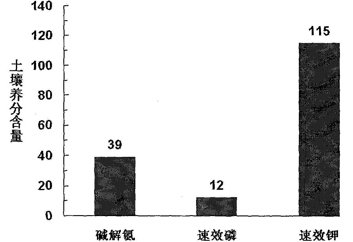 Drought-resistant controlled-release fertilizer special for corn in northwest regions as well as preparation method and applications thereof