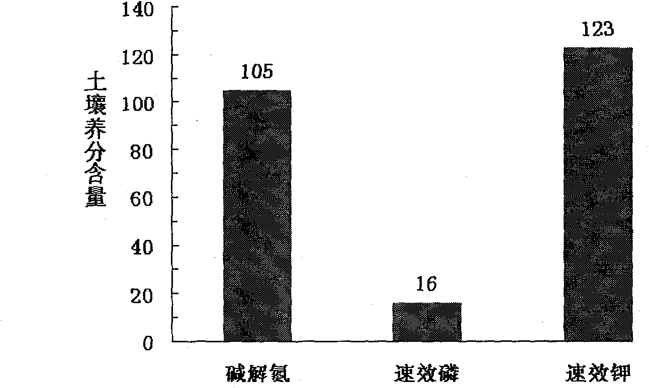 Drought-resistant controlled-release fertilizer special for corn in northwest regions as well as preparation method and applications thereof